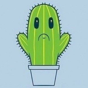 Sennik Kaktus
