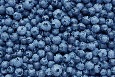 The Best Blue Fruits and Vegetables Found in Nature