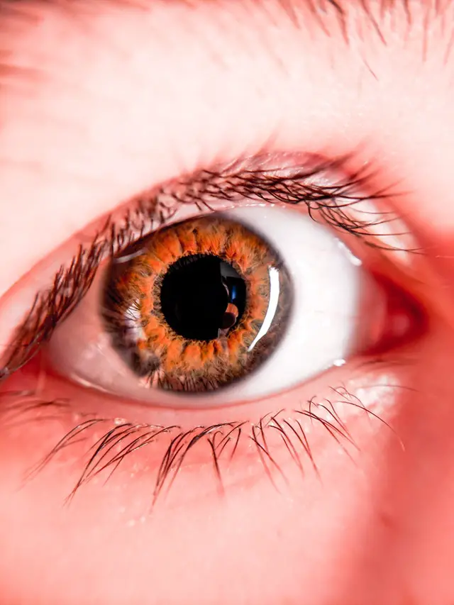 How Color Changes In The Eyes Of A Dying Person
