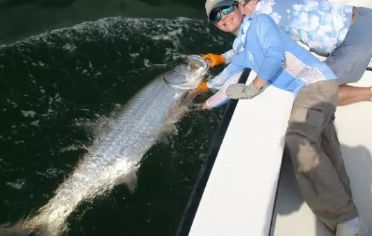 Can You Eat Tarpon? If Yes, How to Cook?