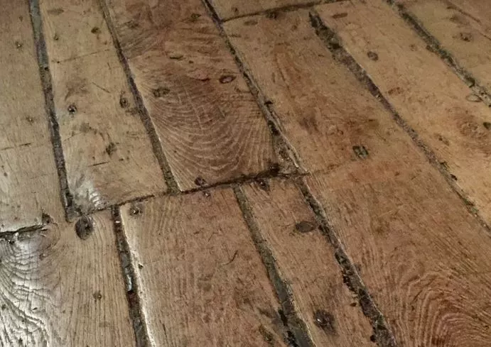 5 Signs of Mold Under Hardwood Floors