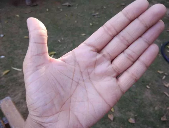 Spiritual Meaning of an X on Palm