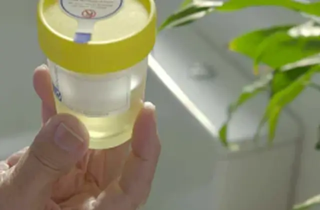 How Long is Urine Good For at Room Temperature For a Drug Test?