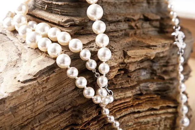 Are Pearls in Clams and Oysters?