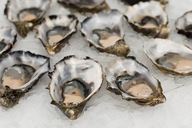 Do Oysters Feel Pain?