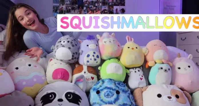 What Is a Squishmallow?