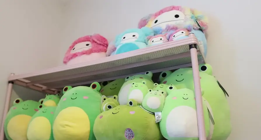 What is the Rarest Squishmallow in the World?