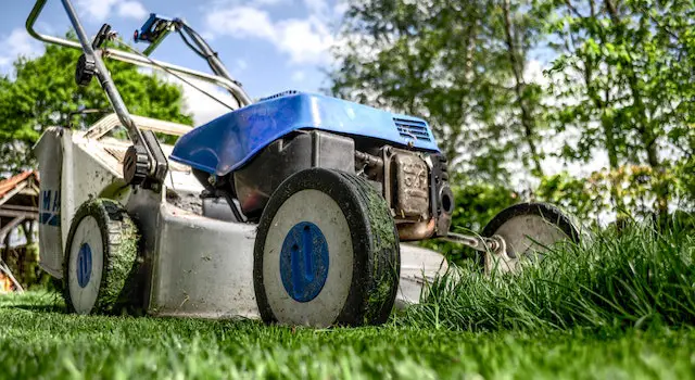 Can a Neighbor Claim My Land by Mowing It?