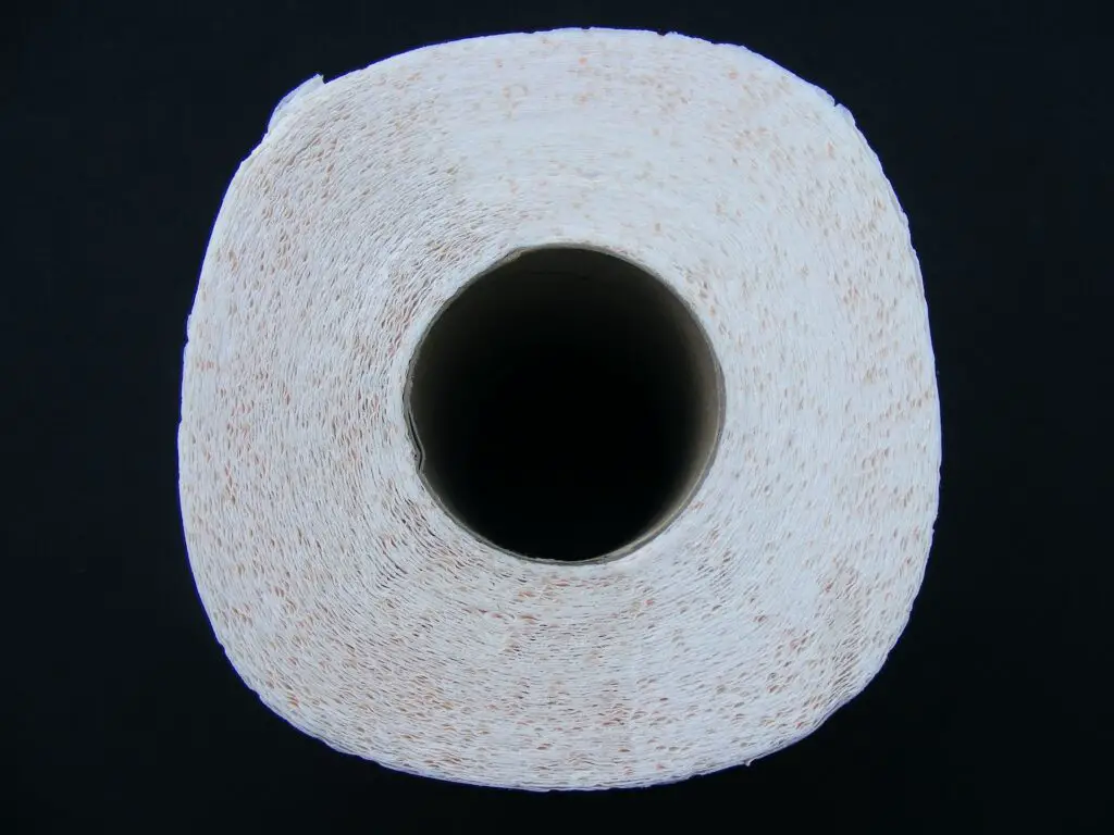 The Circumference of a Toilet Paper Roll