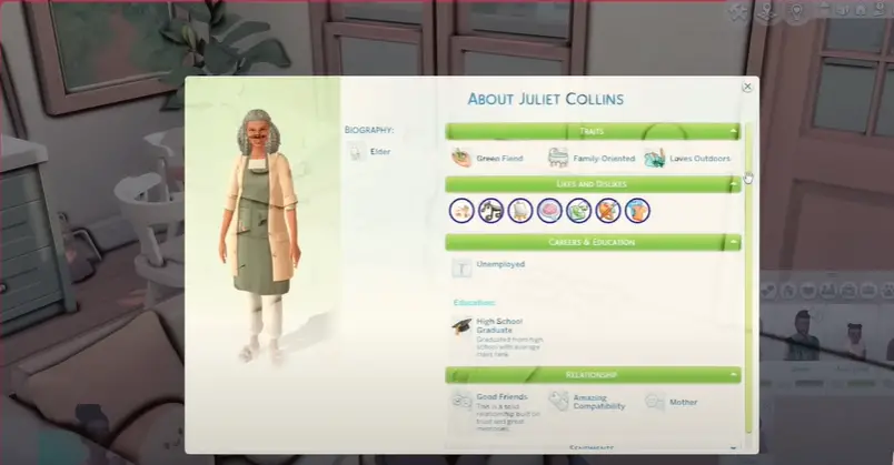 Identifying The Traits Of A Good Mentor In Sims 4